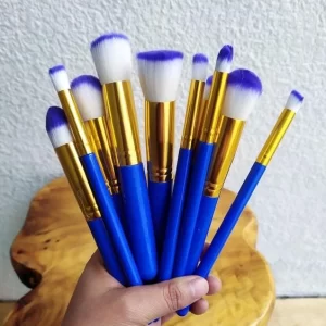Kabuki Professional Makeup Brush Set - 10 pcs